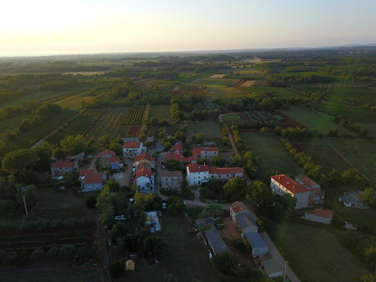 The Village Novigrad Istria Eksteriør billede